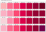 國際色卡網(wǎng) 潘通色卡電子版 PANTONE電子版
