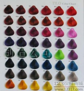 染發色卡 頭發色卡 毛板染色色卡 Hair Color Chart