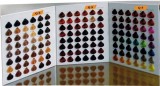 染發色卡 頭發色卡 毛板染色色卡 Hair Color Chart